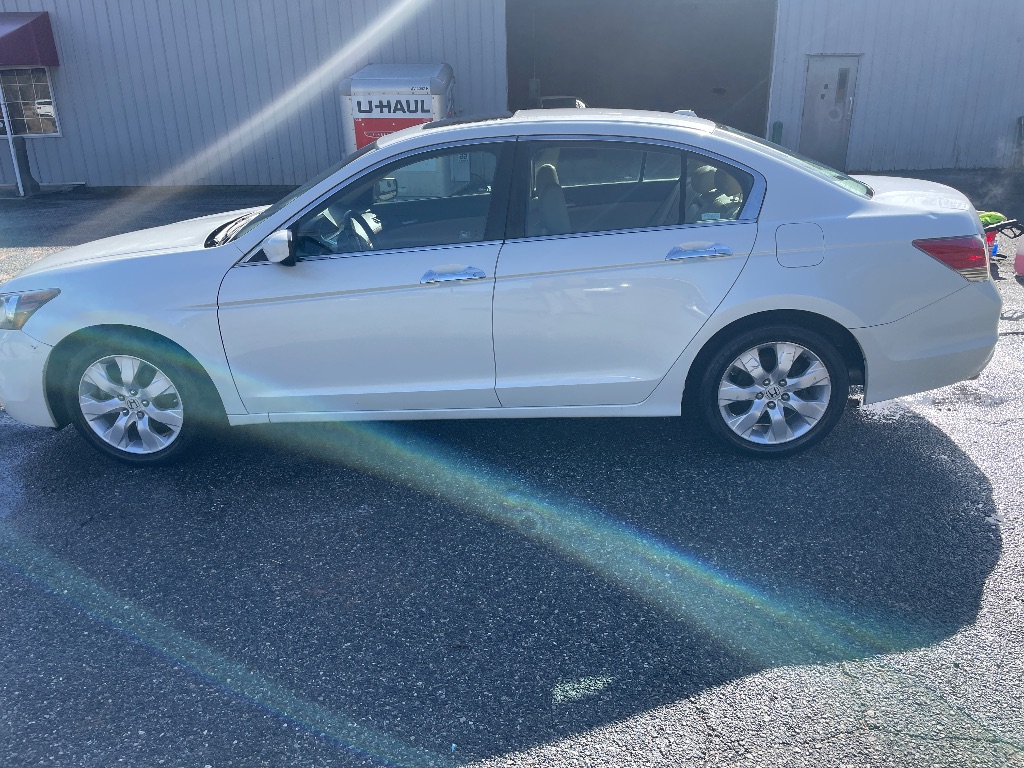 2008 Honda Accord EX-L V6's photo